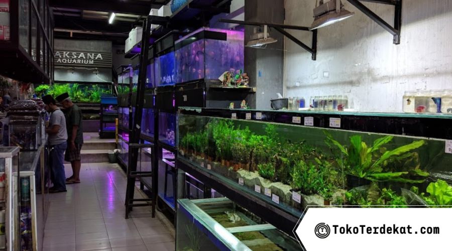 Toko Aquarium di Bandung Terlengkap