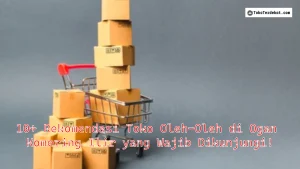 10+ Rekomendasi Toko Oleh-Oleh di Ogan Komering Ilir yang Wajib Dikunjungi!