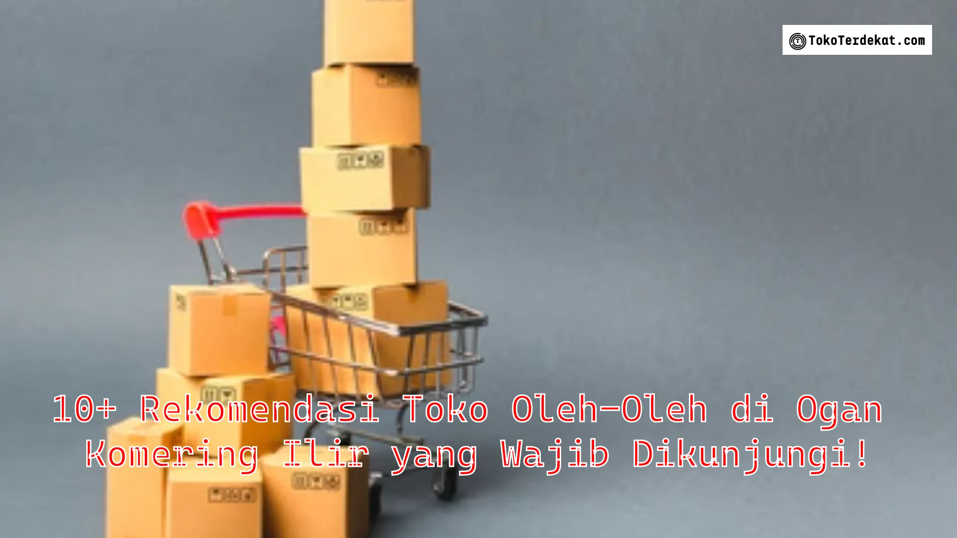 10+ Rekomendasi Toko Oleh-Oleh di Ogan Komering Ilir yang Wajib Dikunjungi!