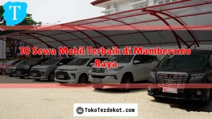 10 Sewa Mobil Terbaik di Mamberamo Raya